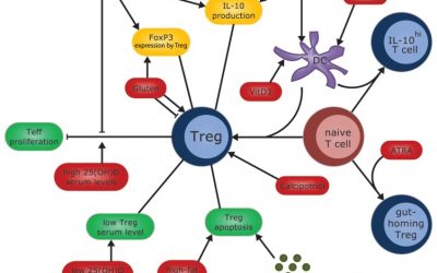 Immunity, resistance, resilience T cells Tregs and gut function