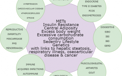 MTHFR MetS Insulin Resistance Diabetes