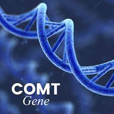COMT – a compilation of data